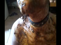 Scat Tube - Nasty brunette showers in shit